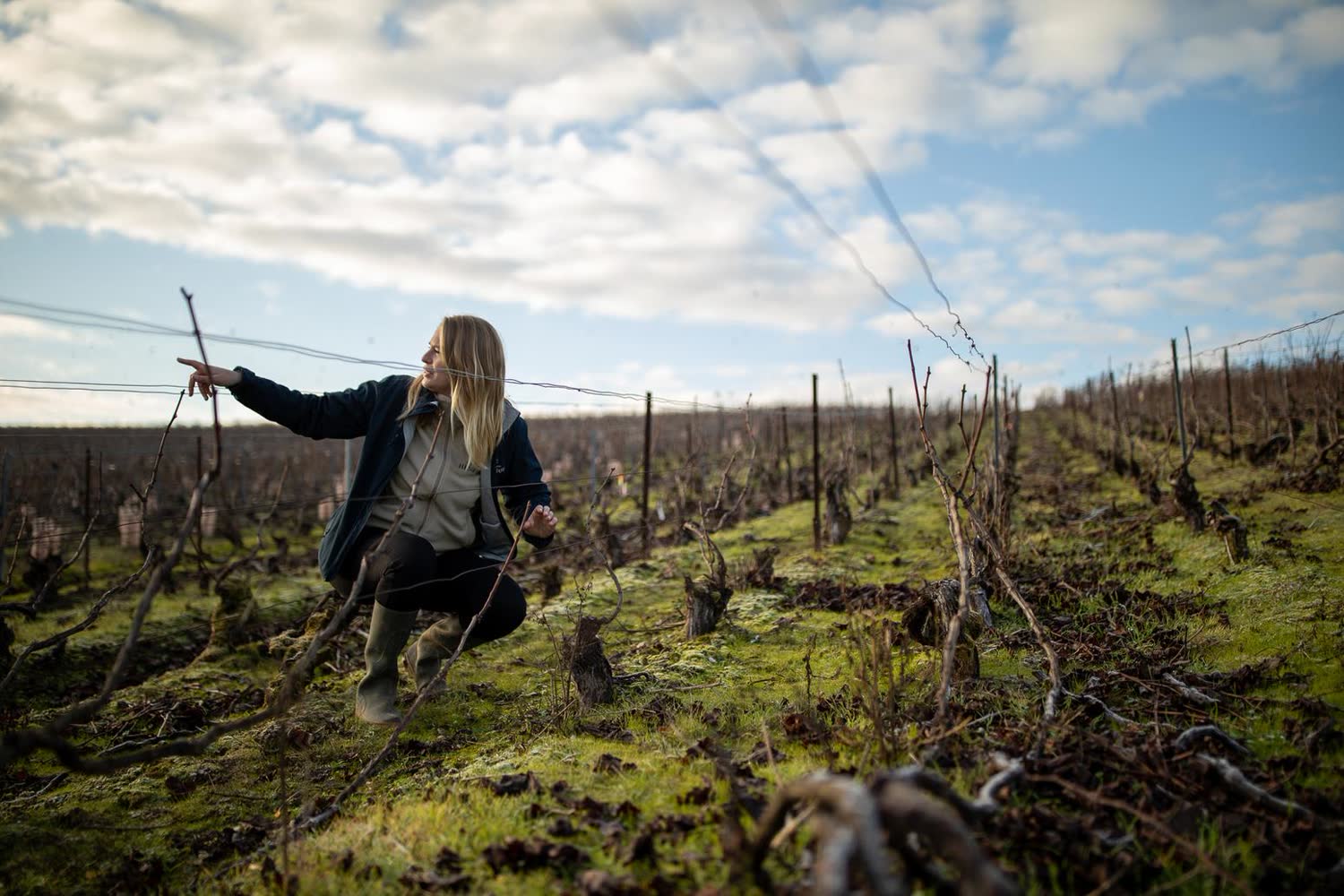 Une vigneronne tend un fil de palissage, le ciel dégagé derrière elle